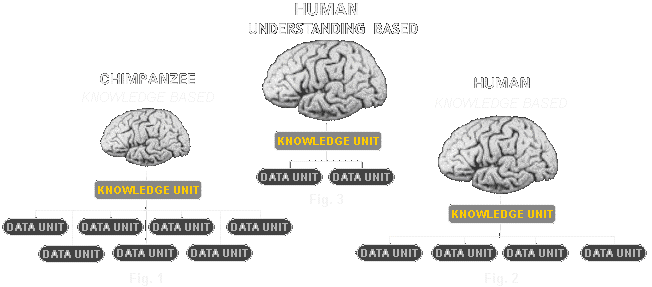 THE HUMAN MIND