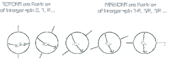 BOZONS & FERMIONS